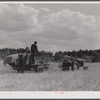 Harvesting wheat with a combine in northern Greene County, Georgia.