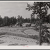 Negro tenant farm near Greensboro, Georgia. Greene County.
