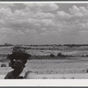 Negro tenant farmer with landscape of the Jackson farm near White Plains, Greene County, Georgia.