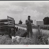 Landowner digging out his mailbox, which he will take with him when he moves out of the area taken over by the Army in Caroline County, Virginia.