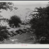 Beach at Yorktown, Virginia.