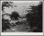 Beach at Yorktown, Virginia.