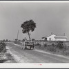 Negro farmer carting some of his farm equipment out of the area that is being taken over by the Army. Caroline County, Virginia.