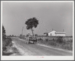 Negro farmer carting some of his farm equipment out of the area that is being taken over by the Army. Caroline County, Virginia.