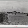Field in Caroline County, Virginia