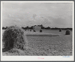 Field in Caroline County, Virginia