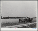The government bought this wheat from a farmer who had to move out of the Army camp area. It was then sold to a contractor. Contractor's combine harvesting wheat. Caroline County, Virginia.