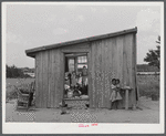 Ten people live in this shack. They must move to make way for the Army maneuver grounds. Caroline County, Virginia.