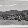Landscape near South Londonderry, Vermont.
