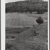 Farm landscape near Hanover, New Hampshire.