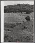 Farm landscape near Hanover, New Hampshire.