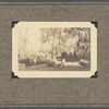 Lumbering on Staten Island, 1924