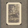 The Bird Cabin, Staten Island Bird Club, 1924