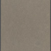 The Bird Cabin, Staten Island Bird Club, 1924