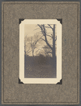 Staten Island, 1924