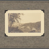 Nests in the hills, Staten Island