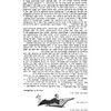 Drahichyn