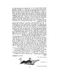 Drahichyn
