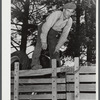 Mr. Fred Longamore helping his brother move out of the Pine Camp expansion area to a new farm fifty-six miles away. Mr. Longamore's own farm is also in the area. Near Pine Camp, New York.
