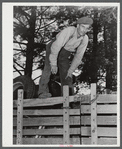 Mr. Fred Longamore helping his brother move out of the Pine Camp expansion area to a new farm fifty-six miles away. Mr. Longamore's own farm is also in the area. Near Pine Camp, New York.