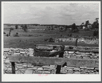 Landscape showing terrain in area being taken over by Pine Camp, New York. In foreground is a barn destroyed by hurricane. Pine Camp, New York.