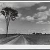 Landscape in the area being taken over by the Pine Camp expansion near Watertown, New York.