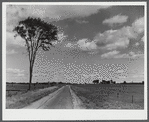 Landscape in the area being taken over by the Pine Camp expansion near Watertown, New York.