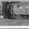 Messenger from Pine Camp drives through the newly acquired expansion area. Watertown, New York.