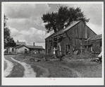 The farm of Dan Sampson, father of eleven children, in the Pine Camp expansion area. The family will be moved from this unproductive farm to one aquired by the New York Defense Relocation Corps in South Rutland, New York.