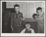 Children of a dairy farmer near Rutland, Vermont.