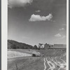 Gathering hay on dairy farm near Brandon, Vermont.