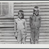 Children of a dairy farmer near Rutland, Vermont.