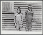 Children of a dairy farmer near Rutland, Vermont.