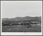 Landscape near Brandon, Vermont.