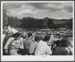 People in the grandstand watching the sulky races at the Rutland Fair, Vermont.