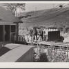 Farmer unloading milk cans at the United Farmers' Co-op Creamery. East Berkshire, Vermont.