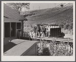 Farmer unloading milk cans at the United Farmers' Co-op Creamery. East Berkshire, Vermont.
