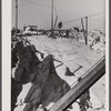 At the Morse and Whitmore granite quarries in East Barre, Vermont.