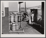 Loading milk cans into a truck at the United Farmers' Co-op Creamery at East Berkshire, Vermont.