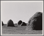 Hay stacks in a field near Essex Junction, Vermont.
