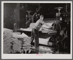 Paper pulp being rolled out at the Mississquoi Corporation paper mill in Sheldon Springs, Vermont.