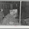Threshing grain on the farm of Edward Grant, FSA (Farm Security Administration) client. East Alburg, Vermont.