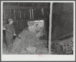 Threshing grain on the farm of Edward Grant, FSA (Farm Security Administration) client. East Alburg, Vermont.