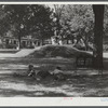 Boys lounging in the square in Enosburg Falls, Vermont.