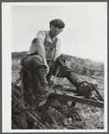 William Gaynor, FSA (Farm Security Administration) dairy farmer near Fairfield, Vermont.