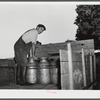 Mr. William Gaynor, FSA (Farm Security Administration) dairy farmer, loading milk on to his truck to take to the creamery early in the morning.