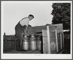 Mr. William Gaynor, FSA (Farm Security Administration) dairy farmer, loading milk on to his truck to take to the creamery early in the morning.