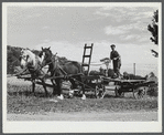 Mr. William Gaynor and some of the children taking the wagon out to gather corn for the cows on their farm near Fairfield, Vermont.
