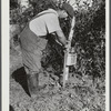 Mr. William Gaynor connecting the electric fence on his farm near Fairfield, Vermont