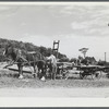 Hitching up the horses to gather corn to feed the cows on the farm of Mr. William Gaynor, FSA (Farm Security Administration) dairy farmer near Fairfield, Vermont.